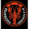 Слайд 14